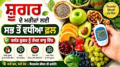 Diabetes Diet : ਸ਼ੂਗਰ ਵਾਲੇ ਲੋਕਾਂ ਲਈ ਫਲ ਖਾਣਾ ਜ਼ਹਿਰ ਨਹੀਂ ਹੈ; ਮਾਹਿਰਾਂ ਤੋਂ ਪਤਾ ਲਗਾਓ ਕਿ ਕਿਹੜੇ ਫਲ ਲਾਭਦਾਇਕ ਹਨ ਅਤੇ ਕਿਹੜੇ ਤੋਂ ਪਰਹੇਜ਼ ਕਰਨਾ ਚਾਹੀਦਾ ਹੈ।
