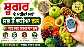 Diabetes Diet : ਸ਼ੂਗਰ ਵਾਲੇ ਲੋਕਾਂ ਲਈ ਫਲ ਖਾਣਾ ਜ਼ਹਿਰ ਨਹੀਂ ਹੈ; ਮਾਹਿਰਾਂ ਤੋਂ ਪਤਾ ਲਗਾਓ ਕਿ ਕਿਹੜੇ ਫਲ ਲਾਭਦਾਇਕ ਹਨ ਅਤੇ ਕਿਹੜੇ ਤੋਂ ਪਰਹੇਜ਼ ਕਰਨਾ ਚਾਹੀਦਾ ਹੈ।