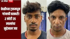 केळीच्या ट्रकमधून गांजांची तस्करी! मुंबईच्या नार्कोटिक्स विभागाची भंडाऱ्यात मोठी कारवाई, 2 कोटी 35 लाखांचा मुद्देमाल जप्त