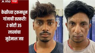 केळीच्या ट्रकमधून गांजांची तस्करी! मुंबईच्या नार्कोटिक्स विभागाची भंडाऱ्यात मोठी कारवाई, 2 कोटी 35 लाखांचा मुद्देमाल जप्त
