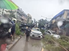 Rain Update: पुण्यातील बाजीराव रोडवर झाडपडी; मुंबईतही कारवर कोसळलं झाड, पुढील 3 दिवस पावसाचा जोर कायम