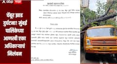 चेंबूर झाड दुर्घटना : निष्काळजीपणाचा ठपका, मुंबई महापालिकेच्या आणखी एका अधिकाऱ्यावर निलंबनाची कारवाई