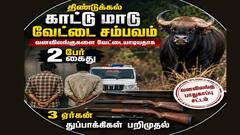 திண்டுக்கல் காட்டு மாடு வேட்டை சம்பவம்!.. 2 பேர் கைது,3 ஏர்கன் துப்பாக்கிகள் பறிமுதல்!..