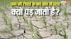 धान की रोपाई के बाद खेत में दरार क्यों पड़ जाती है, किसानों के लिए होता है खतरे का संकेत