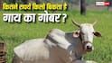 Cow Dung Market Price : कितने रुपये किलो बिकता है गाय का गोबर, इसे कहां बेच सकते हैं किसान?