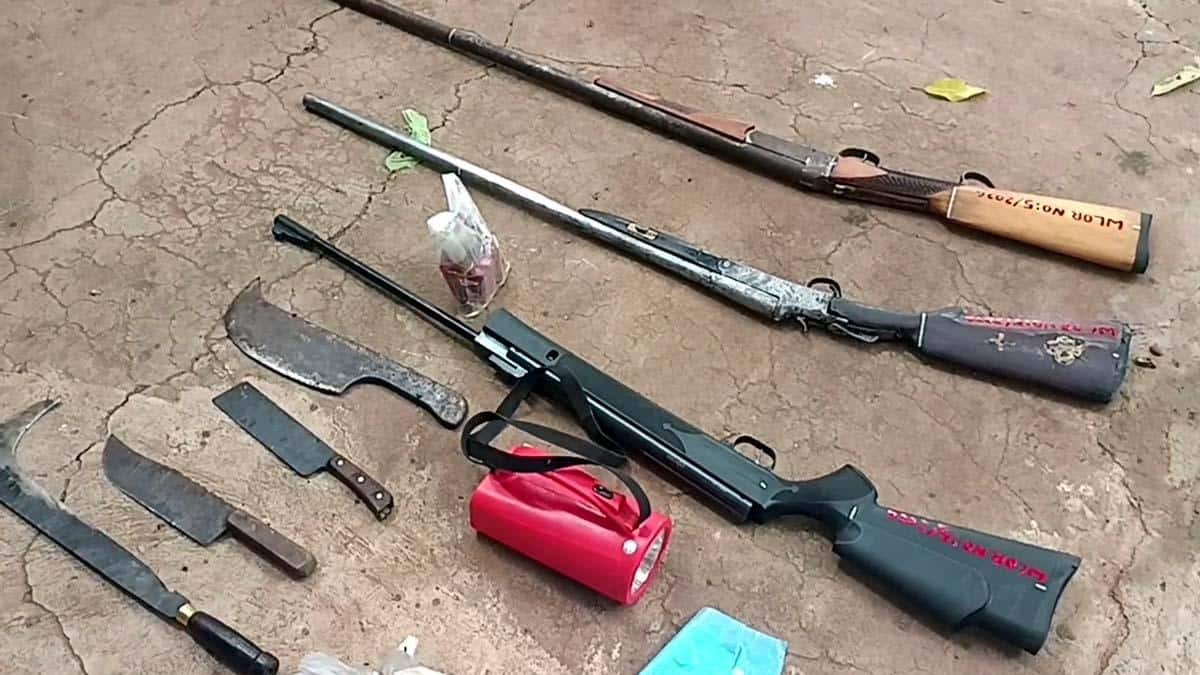 திண்டுக்கல் காட்டு மாடு வேட்டை சம்பவம்!.. 2 பேர் கைது,3 ஏர்கன் துப்பாக்கிகள் பறிமுதல்!..