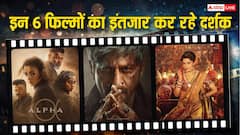 शाहरुख खान की 'किंग' से लेकर आलिया भट्ट की 'अल्फा' तक, ये हैं इस साल की 6 मोस्ट अवेटेड फिल्में