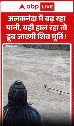 Viral News: Water Level in the Alaknanda River Is Rising—Shiva Statue Could Be Submerged if the Trend Continues