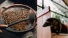 World’s Most Expensive Coffee Is Made From Droppings Of This Animal, Per Cup Costs Rs 8,000