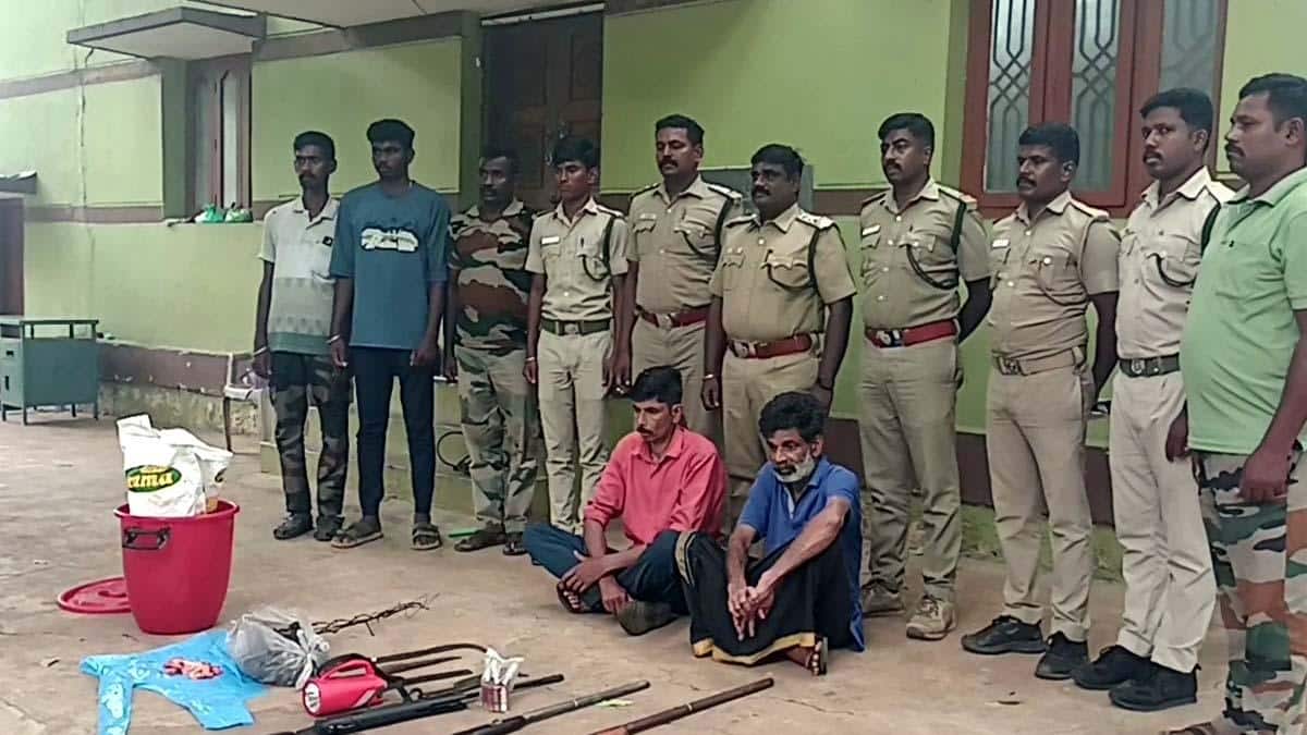 திண்டுக்கல் காட்டு மாடு வேட்டை சம்பவம்!.. 2 பேர் கைது,3 ஏர்கன் துப்பாக்கிகள் பறிமுதல்!..