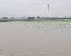 Rain Photos: રાજ્યમાં મેઘતાંડવ, સૌરાષ્ટ્ર અને દક્ષિણ ગુજરાતમાં આકાશી આફત, વાપીમાં 7 ઇંચ ખાબક્યો