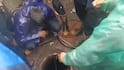 Mumbai Rains: Man Dies After Falling Into Open Manhole Hidden by Waterlogging | Watch