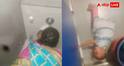 Bengaluru Daycare Viral Video: वॉशिंग मशीन में बच्चों को नहलाया, टॉयलेट के जेट प्रेशर से धो डाला; बेंगलुरु का खौफनाक वीडियो वायरल