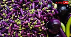 Monsoon Vegetable Buying Tips : बारिश में सबसे पहले सड़ती हैं ये 7 सब्जियां, खरीदते वक्त रहें सावधान