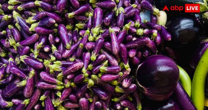The possibility of insects inside brinjal increases during the rainy season. Therefore, while buying, check carefully whether there are any holes or cracks on the brinjal. If this appears, do not buy that brinjal. There may be more insects inside it.