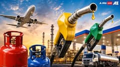 From Cooking Gas To Petrol: Here's How July's Fuel Price Changes Affect Your Wallet