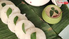 Chutney Recipes: मोमोज खाना हो या इडली डोसा.. घर में फटाफट बनाएं ये 5 चटनियां, उंगलियां चाटते रह जाएंगे लोग