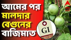 Ashapur Brinjal GI Tag : আমের পর এবার বেগুনেও বাজিমাত! GI ট্যাগ পেল মালদার আশাপুর বেগুন