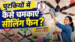 बिना धूल उड़ाए मिनटों में चमकेगा सीलिंग फैन, नोट करें साफ करने की धांसू देसी ट्रिक