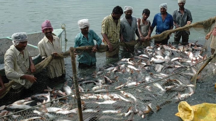 इस सरकारी योजना का लाभ केवल उन्हीं मछुआरों को मिलेगा जो फिशरीज डिपार्टमेंट के साथ रजिस्टर्ड हैं और जिनके पास वैलिड लाइसेंस मौजूद है. सरकार जल्द ही इसके लिए आवेदन करने की पूरी गाइडलाइन और जरूरी दस्तावेजों की लिस्ट जारी करेगी जिससे सही हकदार तक यह बड़ी मदद बिना किसी रुकावट के पहुंच सके.