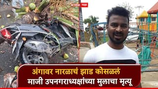 धक्कादायक! मुंबईनंतर मीरा-भाईंदर, अंगावर नारळाचं झाड कोसळलं; माजी उपनराध्यक्षांच्या मुलाचा मृत्यू