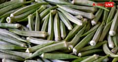 Monsoon Vegetable Buying Tips: વરસાદની ઋતુમાં સૌથી પહેલા સડી જાય છે આ 5 શાકભાજી, ખરીદતી વખતે રહો સાવધાન