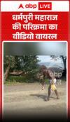 Viral Video: धर्मपुरी महाराज की परिक्रमा का वीडियो हुआ वायरल
