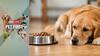 Pet First | 6 Signs Your Pet May Not Be Getting The Right Nutrition