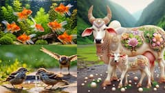 వాస్తుదోషాలు తొలగించుకునేందుకు 6 సులువైన పరిష్కారాలు!