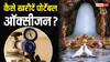 Amarnath Yatra 2026: क्या अमरनाथ यात्रा के लिए खरीद सकते हैं पर्सनल ऑक्सीजन सिलेंडर? जानें इसे खरीदने के नियम