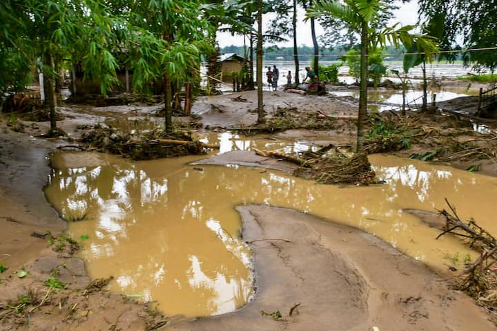 Several areas in Assam forest were affected by the floods. (Image Source: PTI)