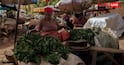 Monsoon Vegetable Buying Tips: વરસાદની ઋતુમાં સૌથી પહેલા સડી જાય છે આ 5 શાકભાજી, ખરીદતી વખતે રહો સાવધાન