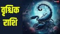 Shukra Gochar 2026: 4 जुलाई से सिंह राशि में शुक्र-केतु एकसाथ, इन 4 राशियों का बिगड़ेगा बजट, रिश्तों में आ सकती है दरार