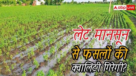 दिल्ली में 5 दिन लेट आया मानसून, इससे फसलों की क्वालिटी पर कितना पड़ेगा असर? दिल्ली में 5 दिन लेट आया मानसून, इससे फसलों की क्वालिटी पर कितना पड़ेगा असर?