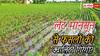 दिल्ली में 5 दिन लेट आया मानसून, इससे फसलों की क्वालिटी पर कितना पड़ेगा असर?