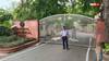 Delhi News: 400 करोड़ से बदलेगी दिल्ली के चिड़ियाघर की तस्वीर, अब कांच के पार से बेहद करीब दिखेंगे वन्यजीव