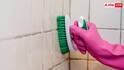 Bathroom Cleaning Tips: बाथरूम या नल के नीचे जमी जिद्दी काई से हैं परेशान? इन घरेलू चीजों से लाएं चकाचक चमक