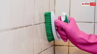 Bathroom Cleaning Tips: बाथरूम या नल के नीचे जमी जिद्दी काई से हैं परेशान? इन घरेलू चीजों से लाएं चकाचक चमक