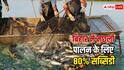 मछली पालन पर इस राज्य में मिल रही है 80% सब्सिडी, जान लें कैसे करना होगा अप्लाई?