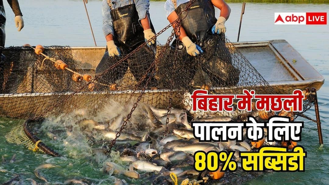 मछली पालन पर इस राज्य में मिल रही है 80% सब्सिडी, जान लें कैसे करना होगा अप्लाई? मछली पालन पर इस राज्य में मिल रही है 80% सब्सिडी, जान लें कैसे करना होगा अप्लाई?