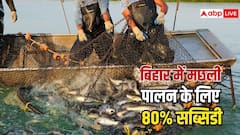 मछली पालन पर इस राज्य में मिल रही है 80% सब्सिडी, जान लें कैसे करना होगा अप्लाई?