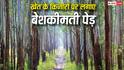 Sandalwood Farming: खेत के किनारों पर लगाएं बेशकीमती पेड़, फसल के साथ-साथ तैयार होगा करोड़ों का 'फिक्स्ड डिपॉजिट'