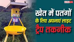 रात में खेत के बीचों-बीच जलाएं बल्ब और नीचे रख दें पानी का टब, खत्म हो जाएंगे नुकसानदेह पतंगें
