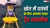 Light Trap Technique: रात में खेत के बीचों-बीच जलाएं बल्ब और नीचे रख दें पानी का टब, खत्म हो जाएंगे नुकसानदेह पतंगें