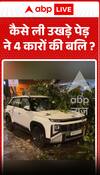 जड़ से उखड़े एक पेड़ ने कैसे चार कारों को अपनी चपेट में ले लिया