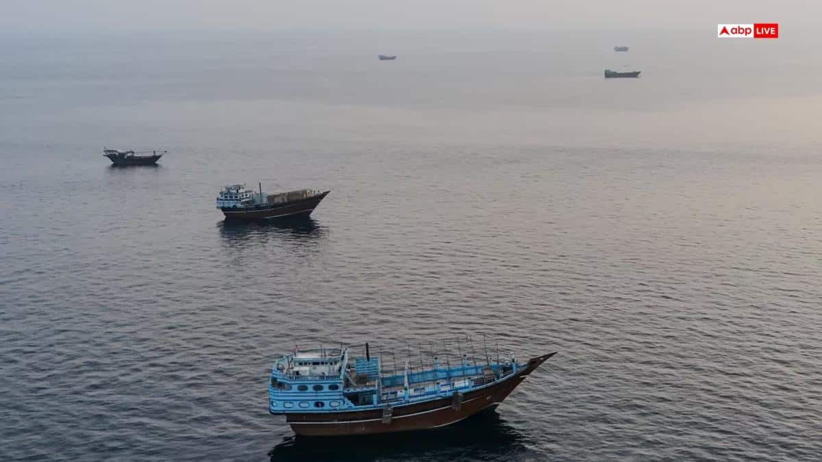 'We Strongly Condemn These Attacks': India On Hormuz Strike, Expresses Concern On West Asia Tensions