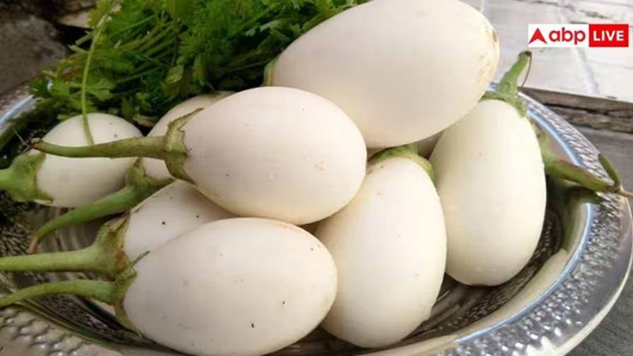 White Brinjal Farming: પરંપરાગત ખેતી છોડો અને કરો સફેદ રીંગણની ખેતી, 3-4 મહિનામાં જ થશે બમ્પર કમાણી