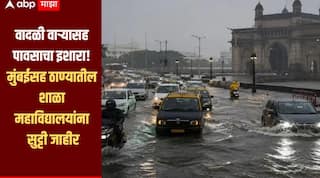 वादळी वाऱ्यासह मुसळधार पावासाचा इशारा, मुंबईसह ठाण्यातील शाळा महाविद्यालयांना सुट्टी जाहीर, आवश्यकता असेल तरच घराबाहेर पडण्याचं आवाहन 
