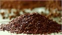 Flaxseeds for Diabetes : మధుమేహాన్ని నియంత్రించడంలో అవిసె గింజలు చేసే బెనిఫిట్స్ ఇవే.. రోజుకు ఎంత తింటే మంచిది?