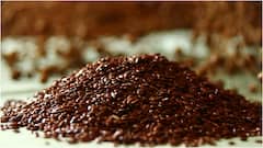 Flaxseeds for Diabetes : మధుమేహాన్ని నియంత్రించడంలో అవిసె గింజలు చేసే బెనిఫిట్స్ ఇవే.. రోజుకు ఎంత తింటే మంచిది?